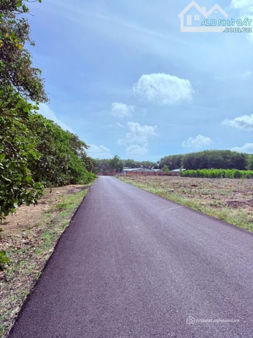 Bán đất thổ cư: 1 MẪU ĐẤT ĐẸP GẦN CAO TỐC LT-HT, GẦN BIỂN, PHỦ HỒNG, CÁCH CHỢ CÂ