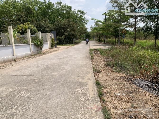 Bán đất nông, lâm nghiệp: Bán đất biệt thự vườn 1.355m² Hắc Dịch – Phú Mỹ, 282m²