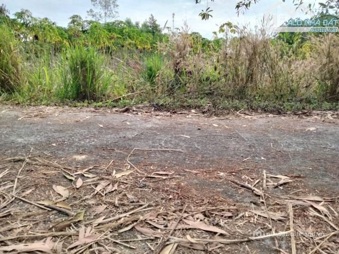 Bán đất thổ cư: Lô siêu, gần Chợ Hắc Dịch, Phú Mỹ 140M2 Thổ cư chỉ 950 Triệu