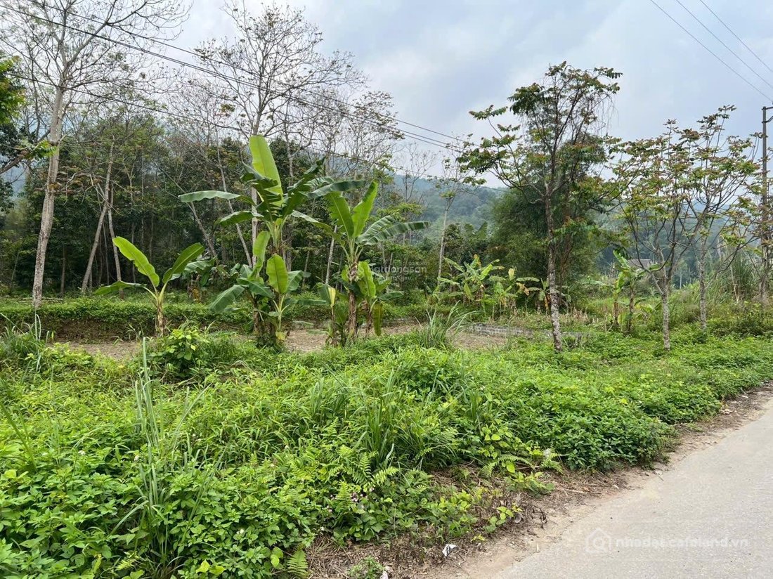 Bán đất thổ cư: Bán đất 535m2 tại Phương Thiện, Hà Giang, chỉ với 9,5 tỷ