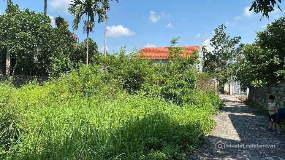 Bán đất thổ cư: Bán đất Xuân Khê, Lý Nhân, diện tích 126m2