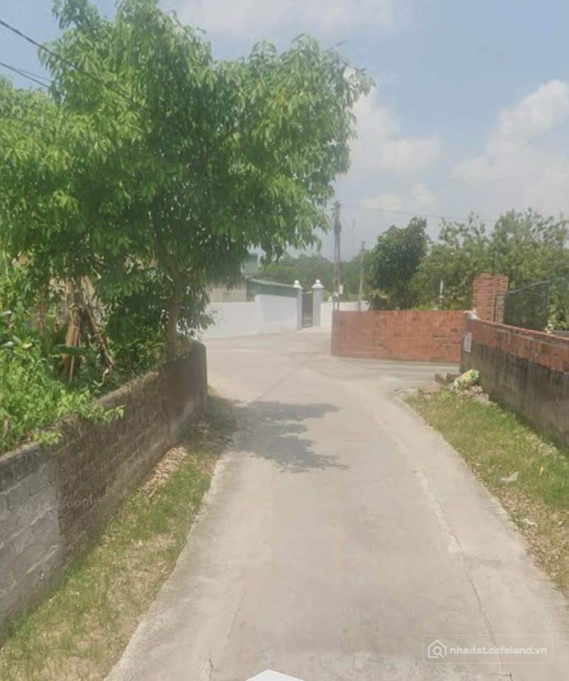 Bán đất thổ cư: Đất vàng Hạ Long 130m2 vuông vắn, đường rộng 5m, giá hời