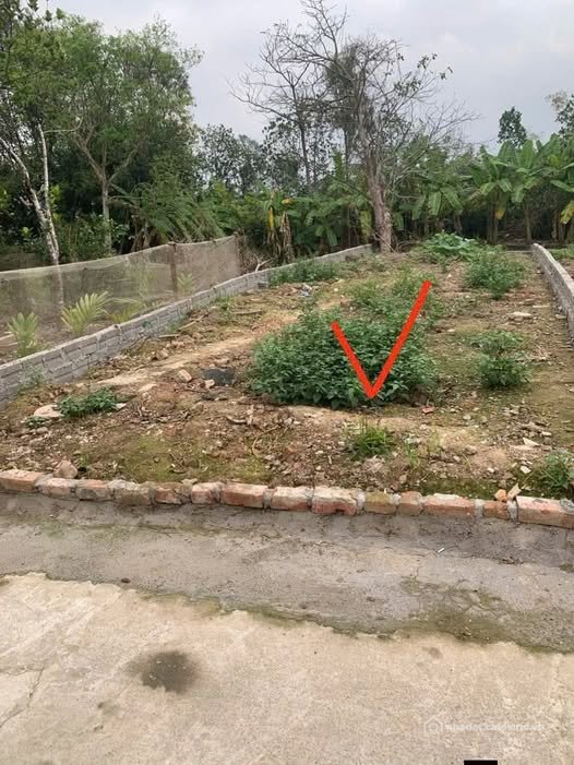 Bán đất thổ cư: Bán đất huyện Bình Lục, tỉnh Hà Nam, giá 400 triệu