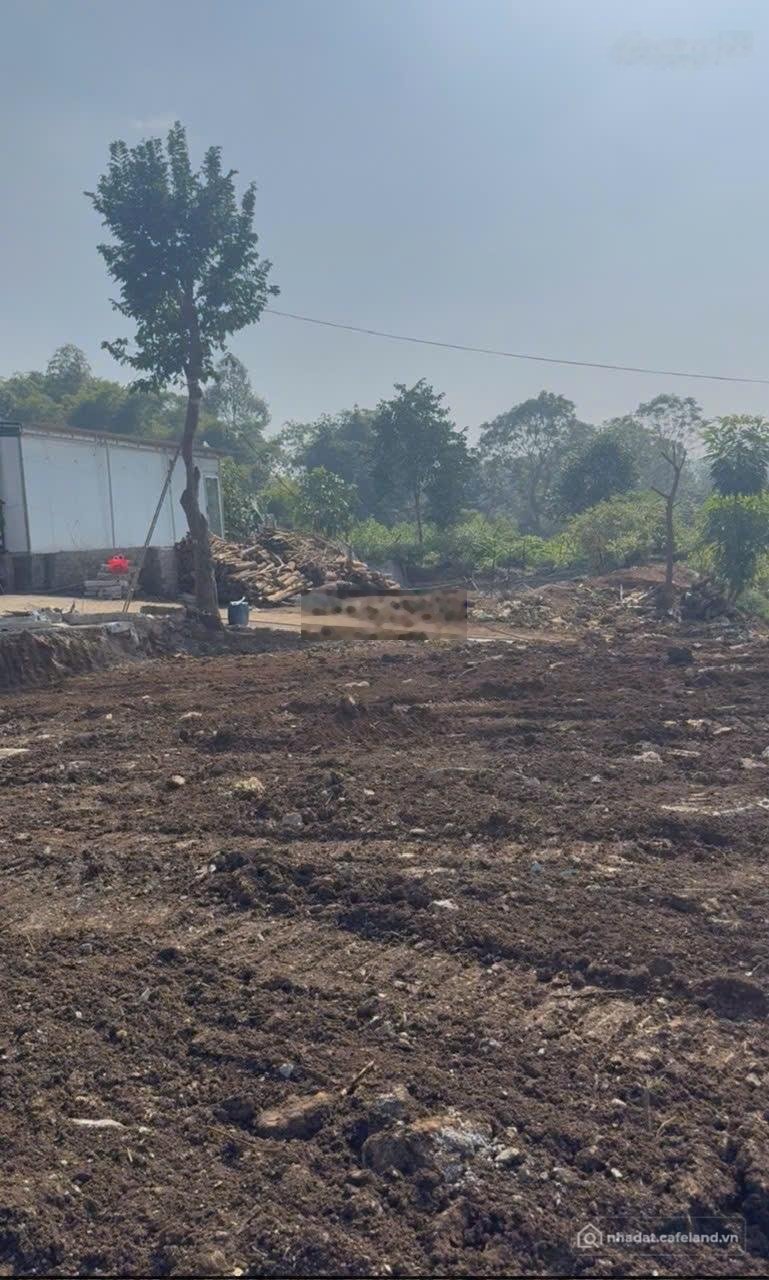 Bán đất thổ cư: Chính chủ cần bán 430m² đất sơn lập, cẩm châu, cẩm thủy, thanh h