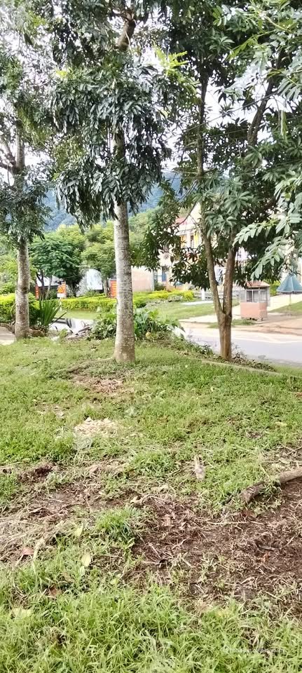 Bán đất thổ cư: Đất mặt tiền đường Hồ Chí Minh, A Lưới - Diện tích lớn, view đẹp