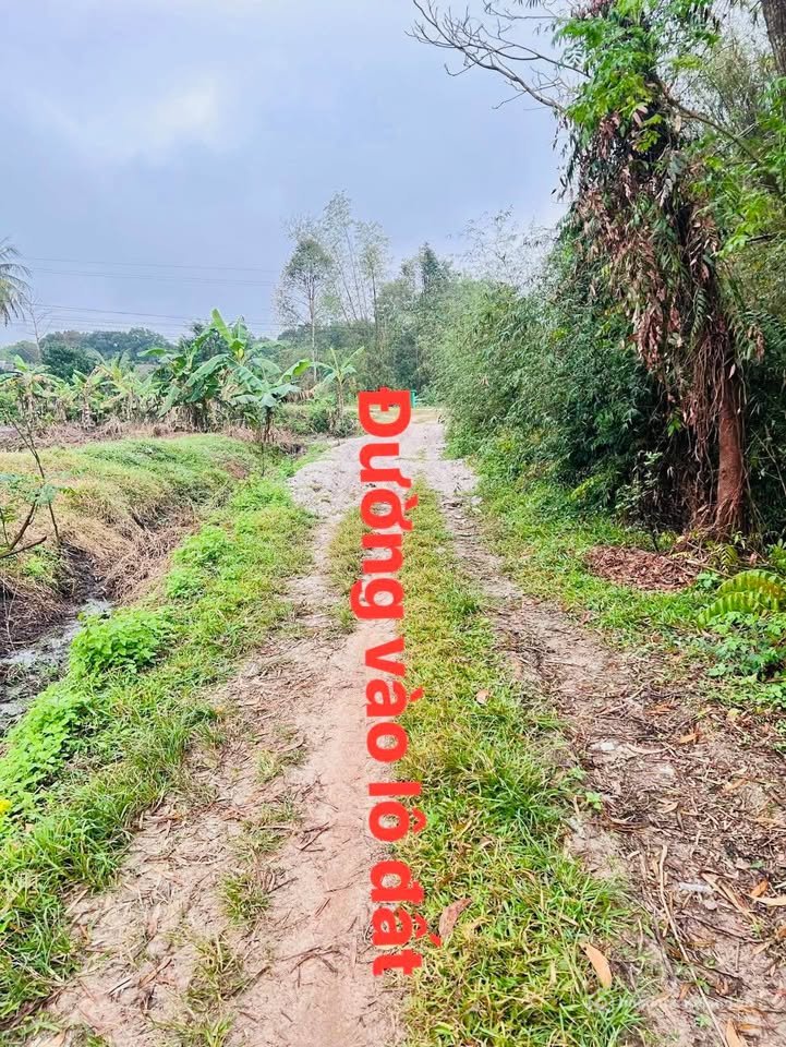 Bán kho, nhà xưởng: Bán kho bãi, nhà xưởng, khu công nghiệp huyện Phong Điền, tỉ