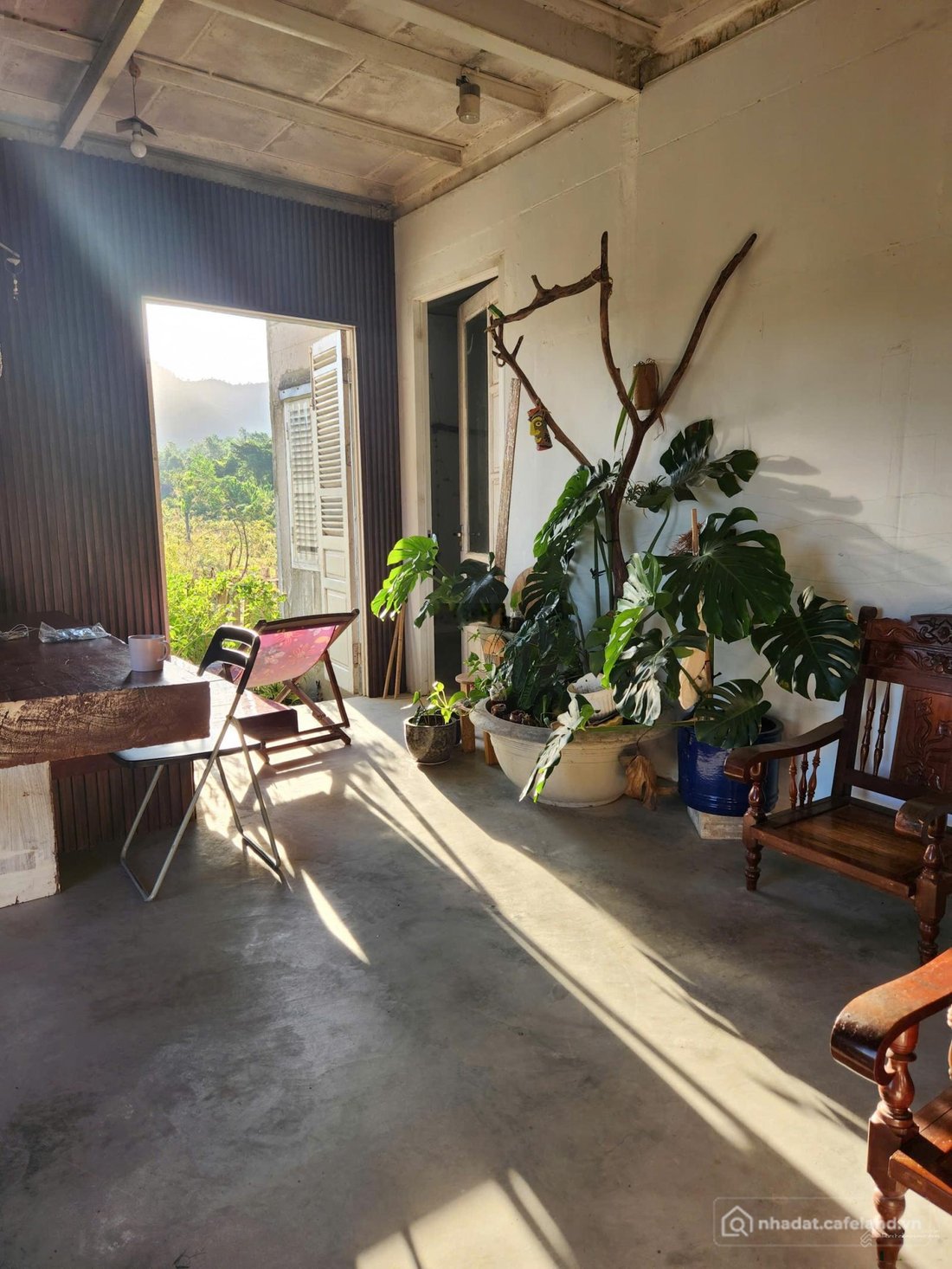 Bán nhà riêng: Bán đất 504m2 & nhà 128m2 - khu nhà vườn hoà ninh