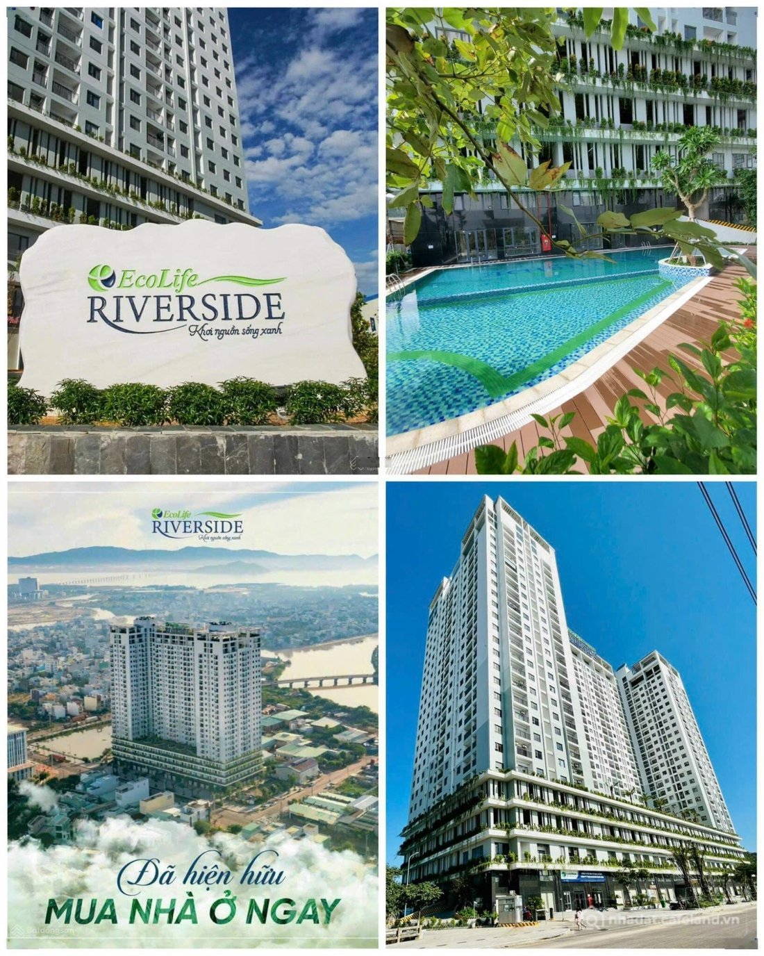 Bán căn hộ chung cư: Bán căn hộ Ecolife Quy Nhơn giá siêu rẻ - Giảm gần 400 triệ