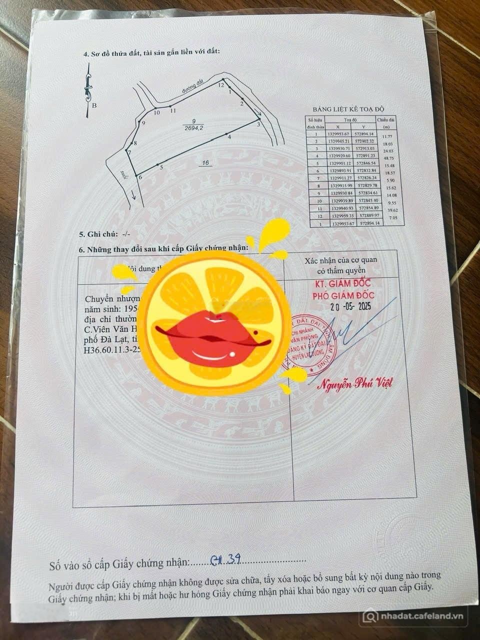 Bán đất thổ cư: Bán đất tại Langbiang Town Đà Lạt, 2 triệu/m2, 3000m2 chỉ với gi