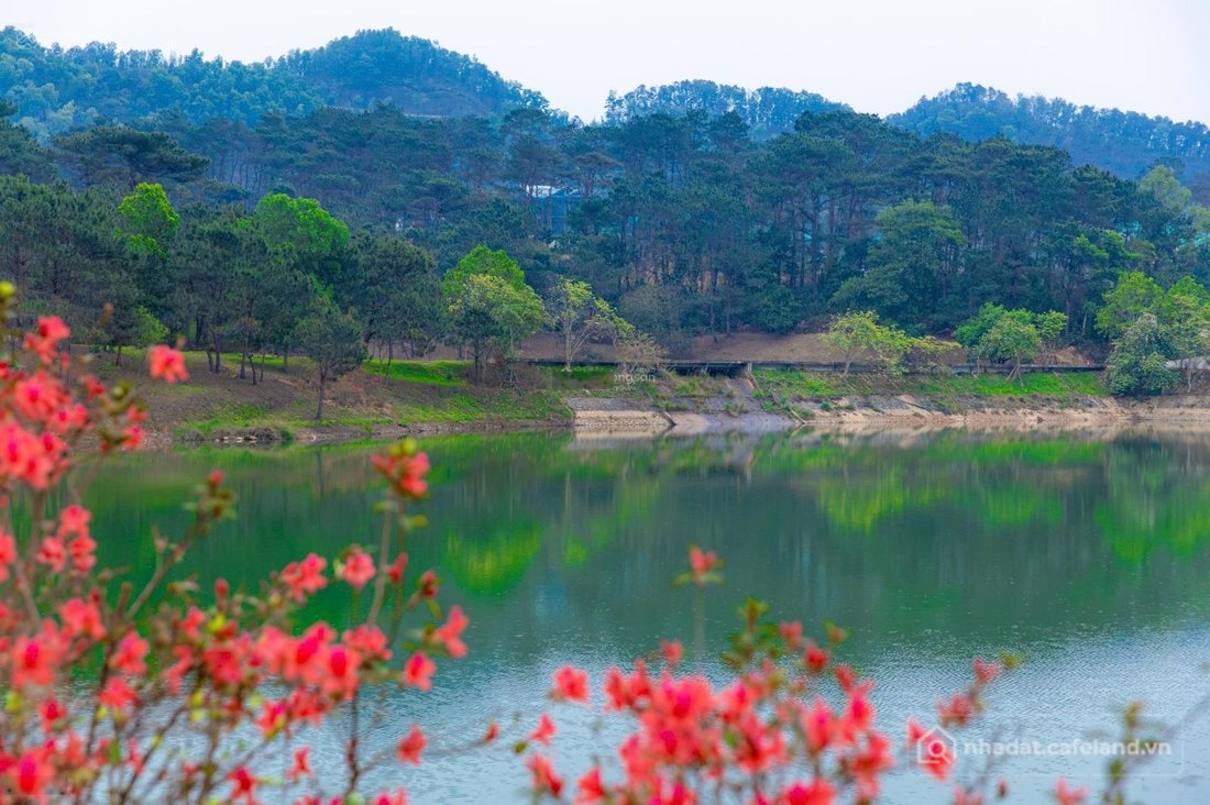 Bán đất thổ cư: 1 lô siêu phẩm ngay cạnh Thanh Xuân Valley