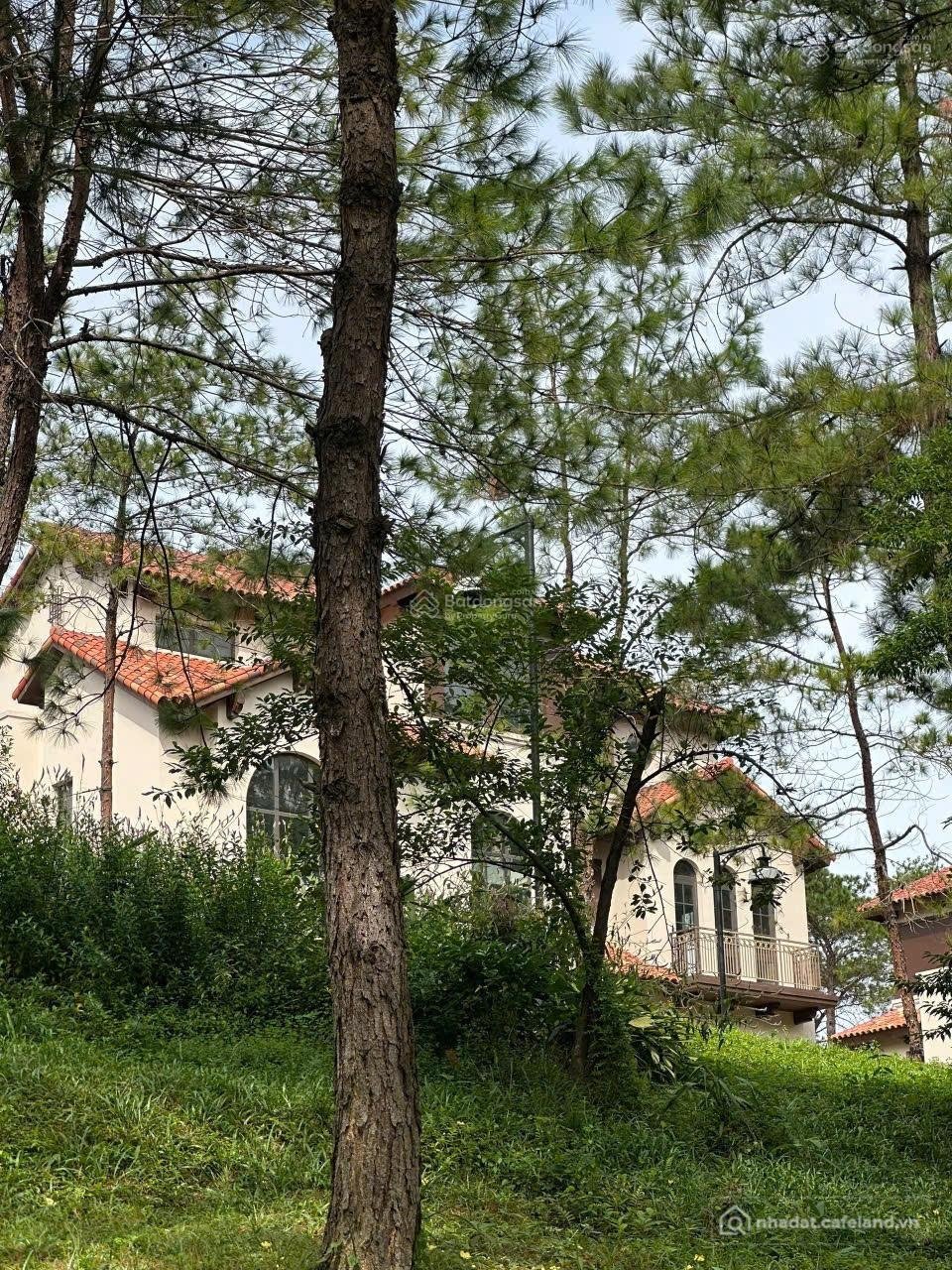 Bán biệt thự: Bán nhanh suất ngoại giao dự án Thanh Xuân Valley Vĩnh Phúc hồ Đại