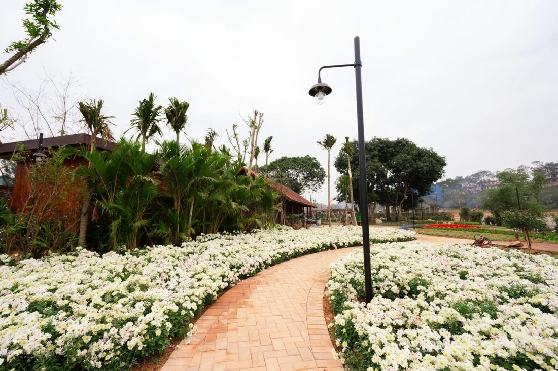 Bán biệt thự: Song lập Thanh Xuan Valley, chính chủ bán nhanh, giá cực tốt 14,5t