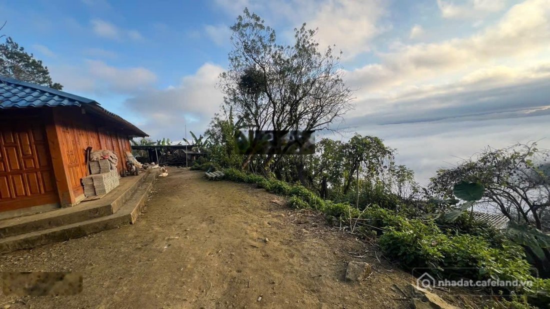 Bán đất thổ cư: Bán đất tại Xã Tà Xùa, Sơn La, giá tốt 3,5 tỷ, 1000m2. Có sẵn 40