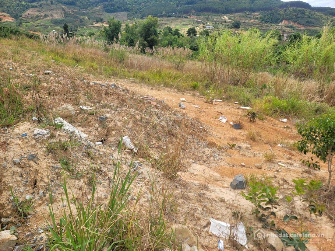 Bán đất thổ cư: Bán đất đẹp view thung lũng xã Đông Thanh, Lâm Hà, nhập Đà Lạt