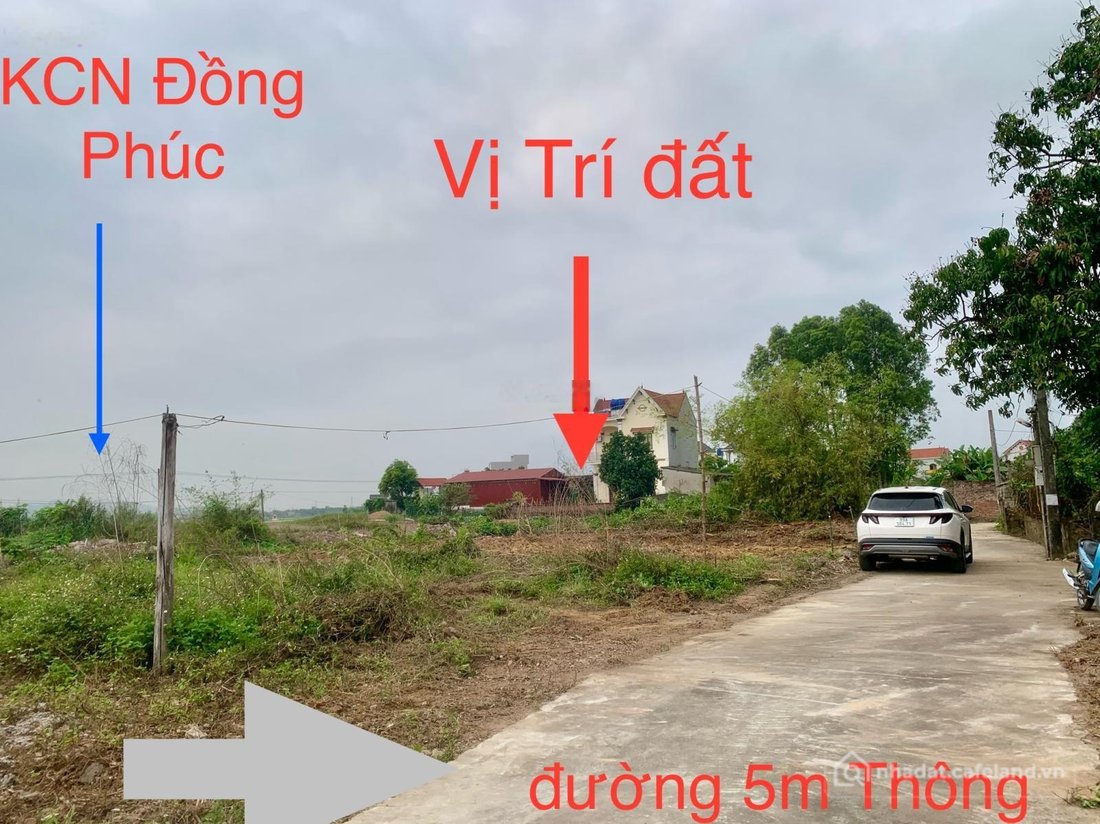 Bán đất thổ cư: Bán đất tại Xã Đồng Phúc, Huyện Yên Dũng, Bắc Giang, 1,2 tỷ, 162