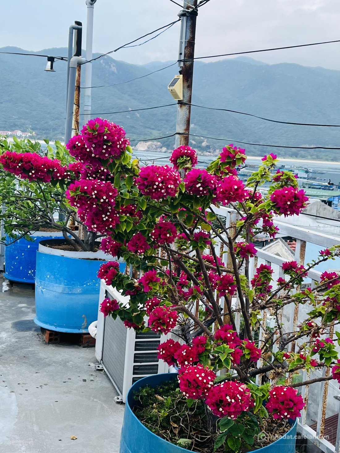 Bán nhà riêng: Bán nhà nghỉ 12 phòng, ngay trung tâm đảo Bình Hưng - Cam Ranh, k