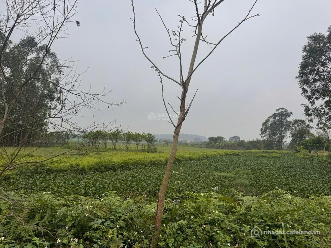 Bán kho, nhà xưởng: Cơ hội đầu tư vàng đất Mê Linh, tâm điểm đầu tư công nghiệp 