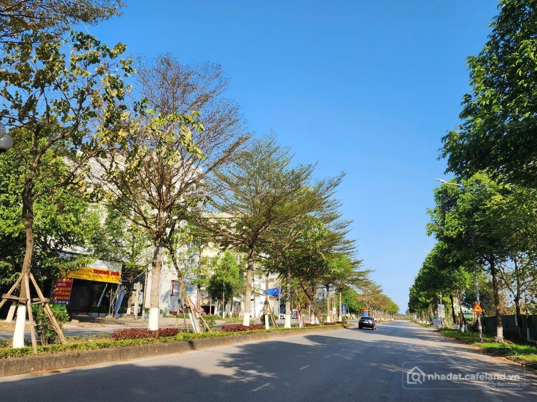 Bán đất thổ cư: Bán đất biệt thự Phúc Ninh làn 2 Đấu Mã DT 240m2, MT 12m hướng Đ