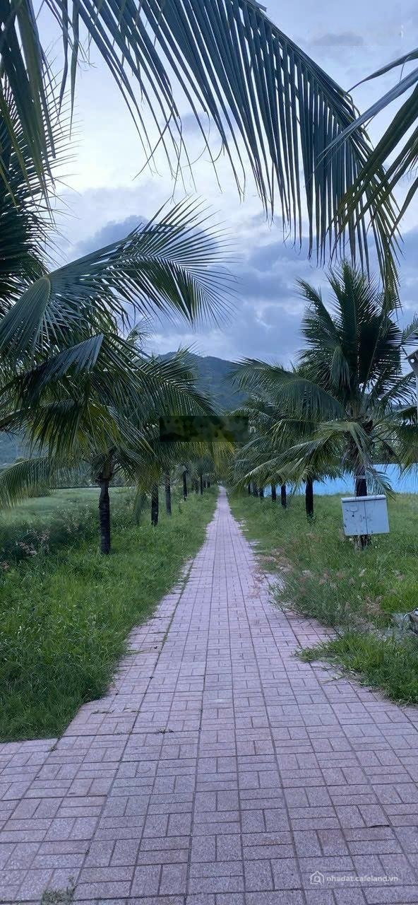 Bán đất thổ cư: CHỦ CẦN BÁN GẤP đất Biệt Thự - KĐT Ven Sông Tắc Nha Trang - Gần 
