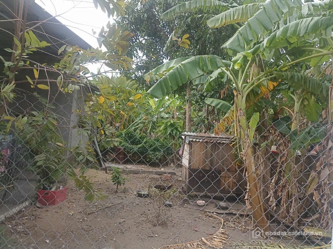 Bán đất thổ cư: Bán đất đô thị, đường bàn cờ,hòa do 2, cam phúc bắc, cam ranh, k