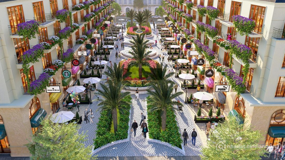 Bán đất thổ cư: Cơ hội hiếm đất nền vị trí đẹp, giá tốt cho nhà đầu tư nhanh tay