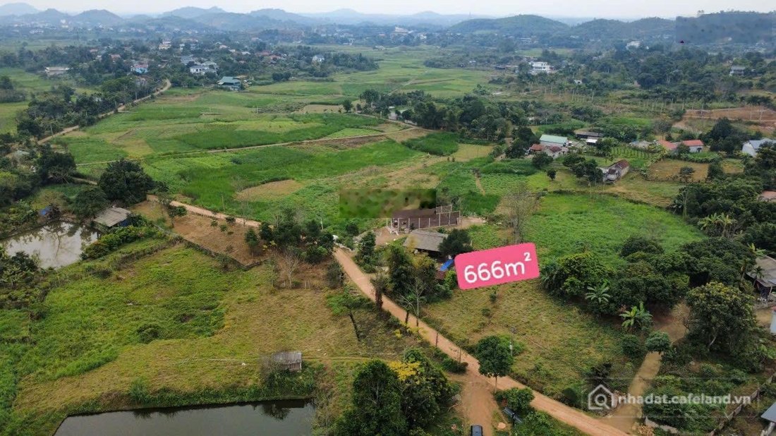Bán đất thổ cư: Bán gấp Đất tại Xã Yên Bài, 7,5 triệu / m2, 666 m2