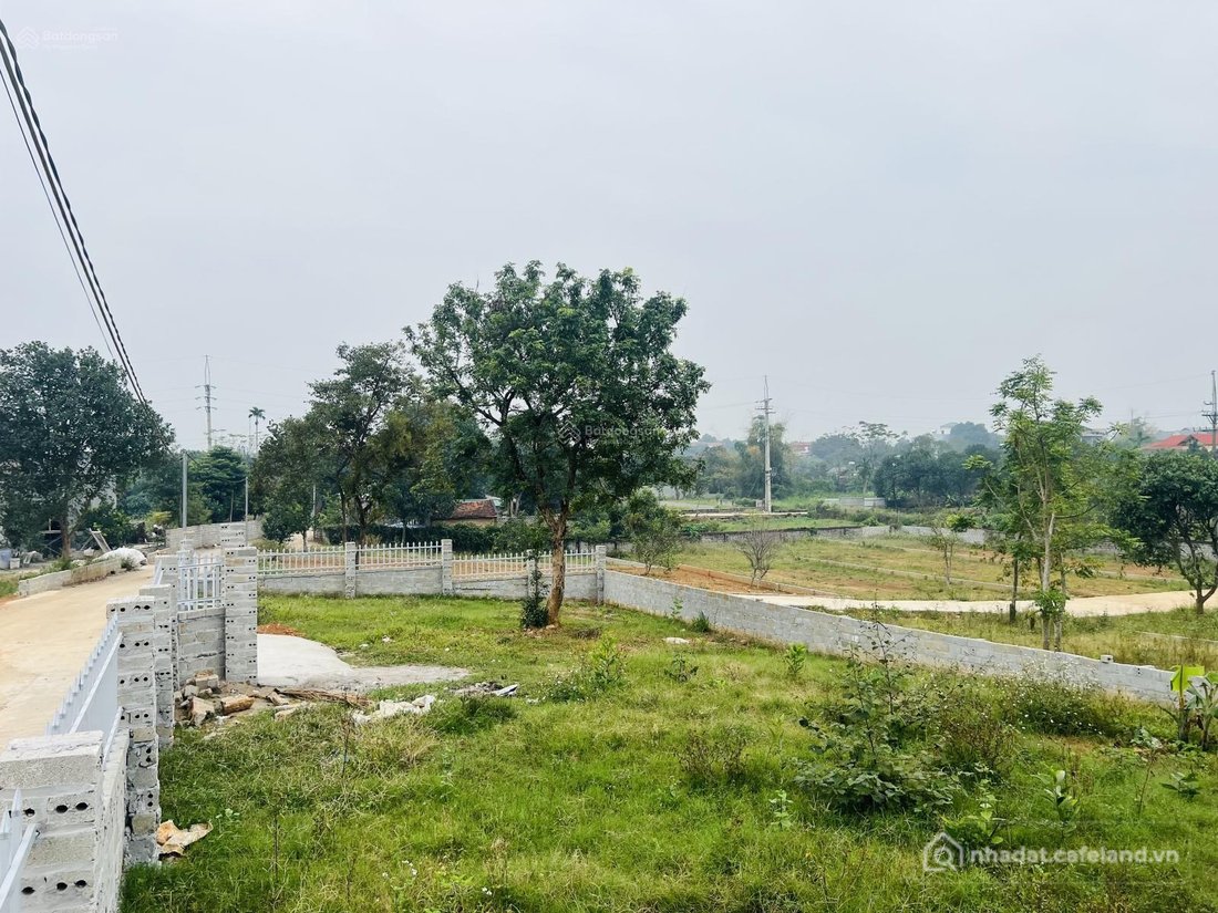 Bán đất thổ cư: 2 năm nữa đất Yên Bài được hưởng hạ tầng nhiều nhất Ba Vì, em bá