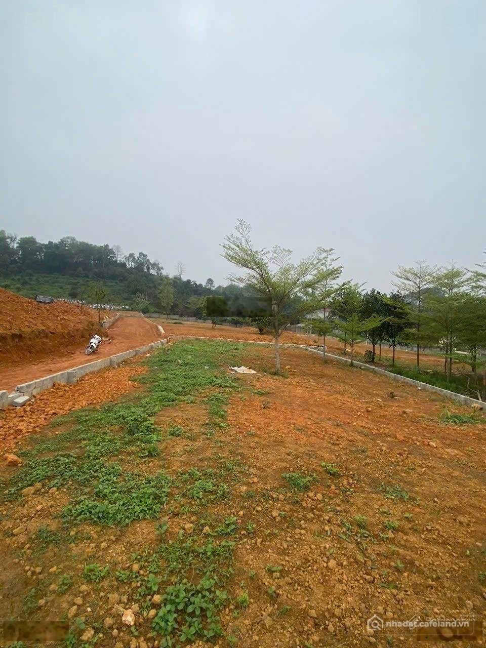 Bán đất thổ cư: Siêu phẩm view triệu đô tại Thôn Rùa nay là xã Yên Bài TP Hà nội