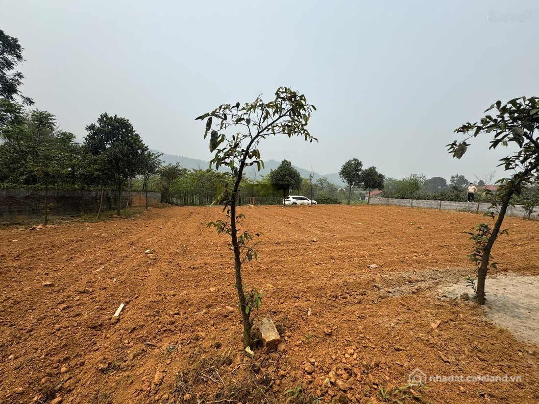 Bán đất thổ cư: Bán lô đất nghỉ dưỡng tuyệt đẹp tại thôn xoan xã yên bài