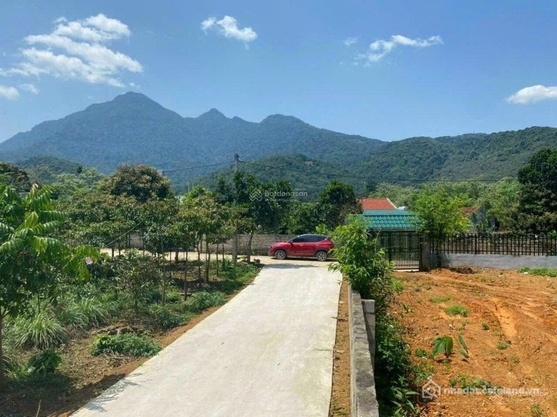 Bán đất thổ cư: Bán siêu phẩm đất nghỉ dưỡng xã yên bài 1136m2