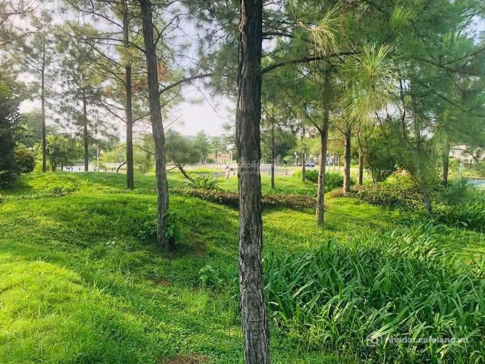 Bán biệt thự: Giá tốt nhất thị trường - Biệt thự song lập 420m2, KĐT Đặng Xá, xã