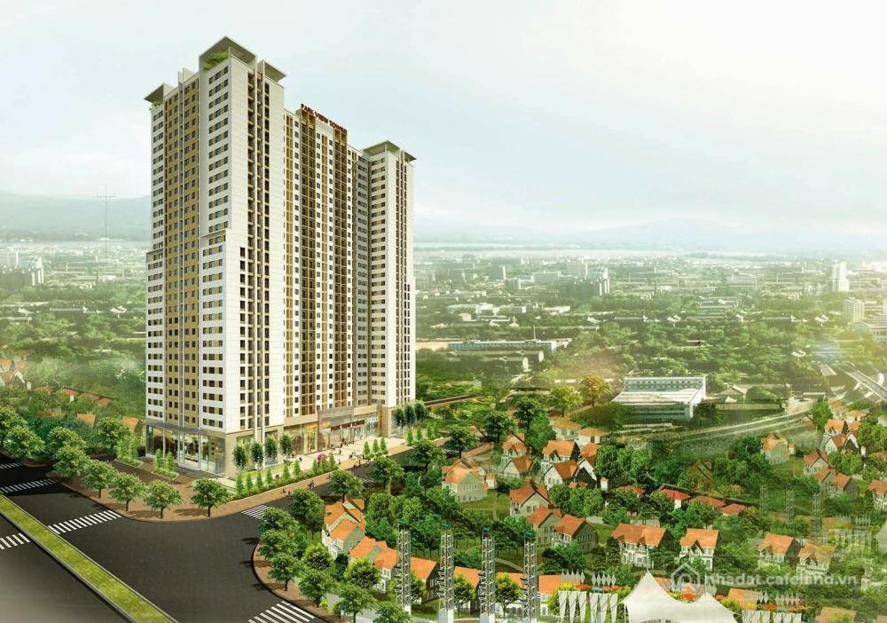 Bán căn hộ chung cư: Bán CHCC Đồng Phát Park View Tower, nhỉnh 4,65 tỷ, 65m2, 2P