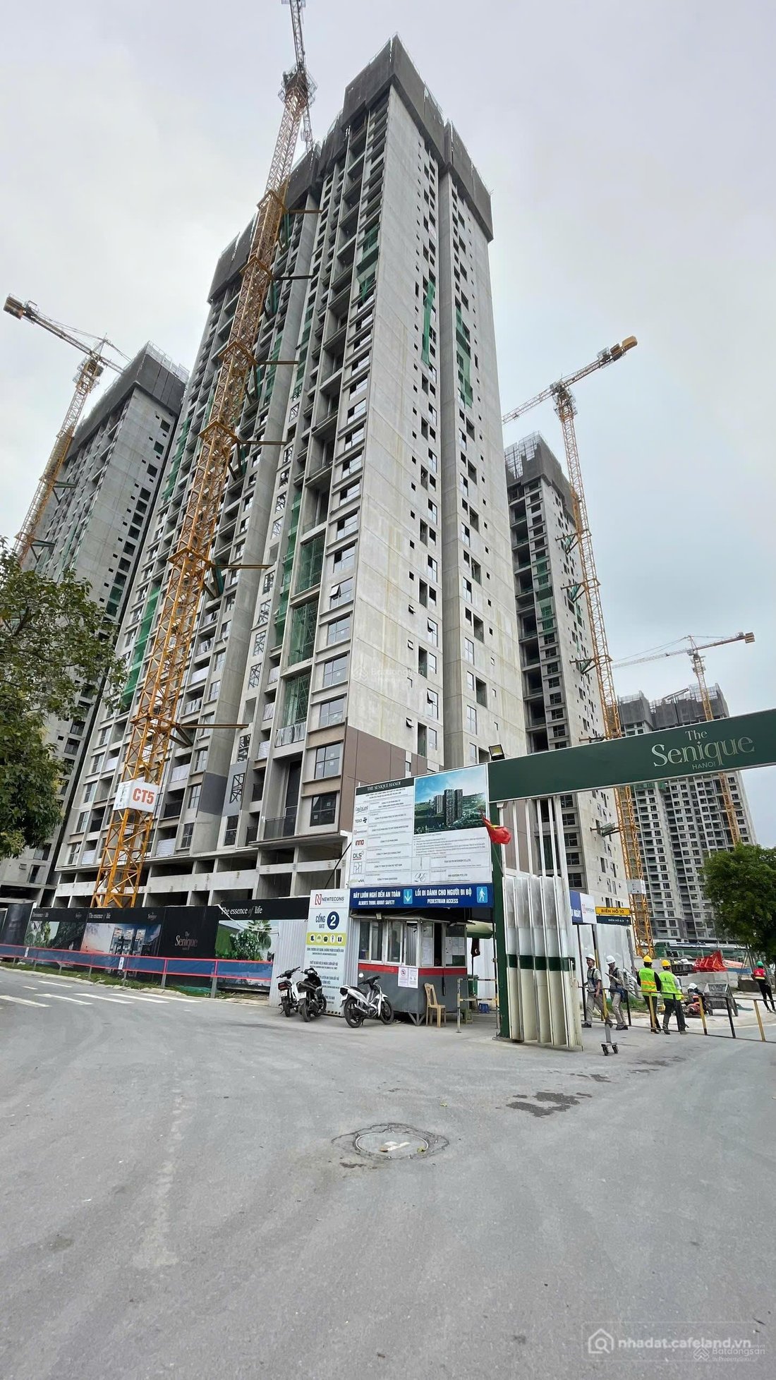 Bán căn hộ chung cư: Chính chủ bán căn 2 pn 53m2 the senique tòa premium hướng đ