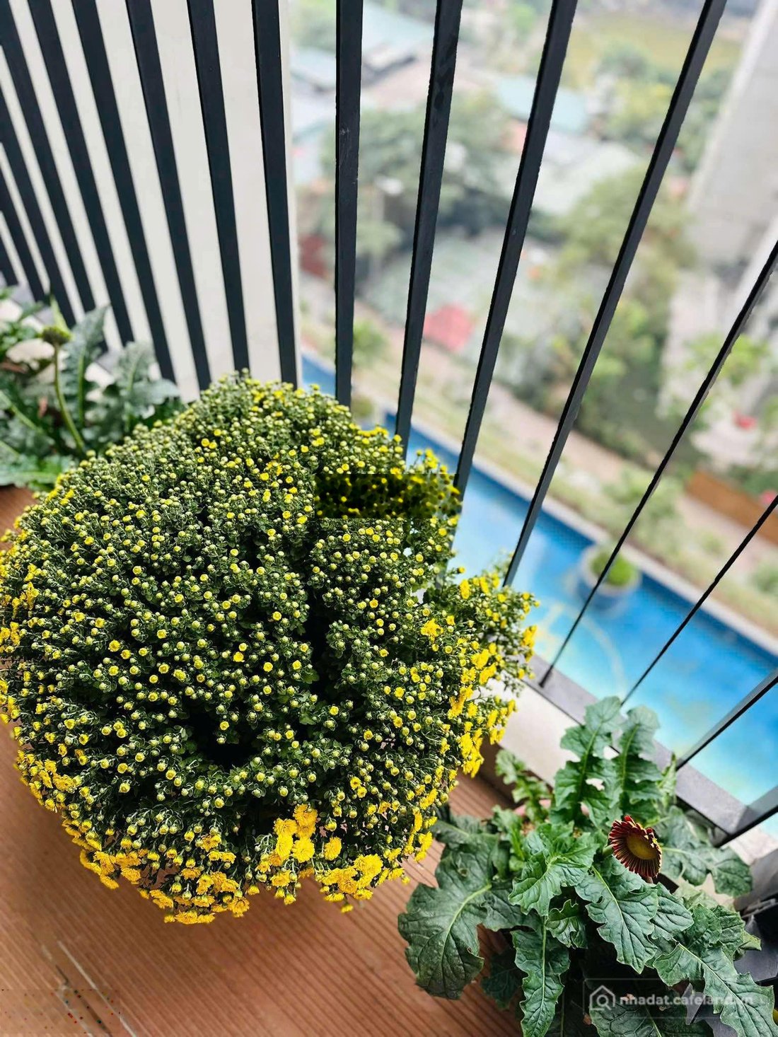 Bán căn hộ chung cư: Chỉ với 7,3 tỷ đối với căn hộ 2pn 2vs tại seasons avenue | 