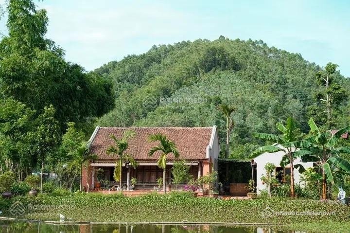 Bán nhà riêng: Nhà dân bán toàn bộ khu nhà vườn giữa xóm hà thành gần trường đại