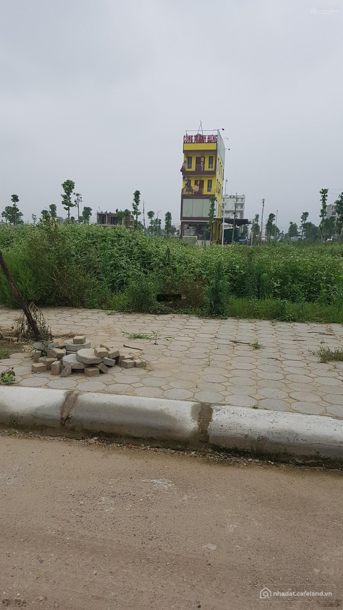 Bán biệt thự: Bán biệt thự Thanh Hà Cienco 5 212,5m² MT 10m, đường 14m, đối diện