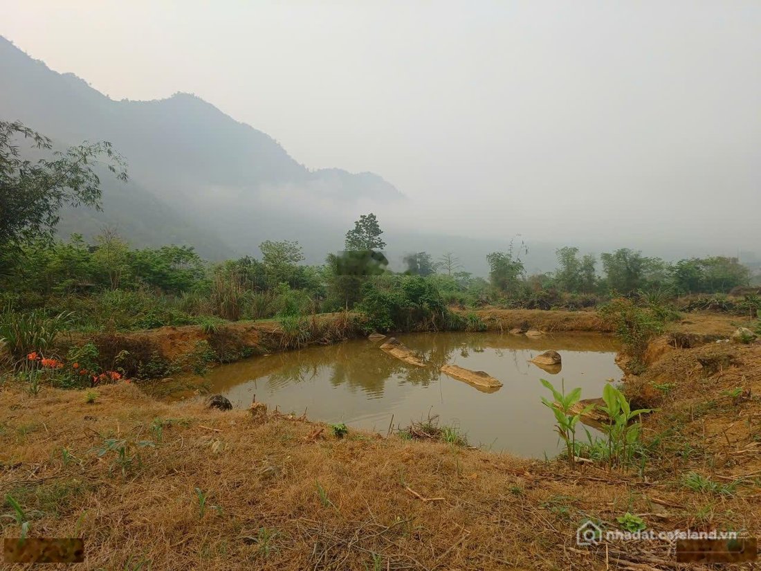 Bán đất thổ cư: Bán đất 2900m view suối ao cánh đồng đẹp mê tại cao sơn, đà bắc