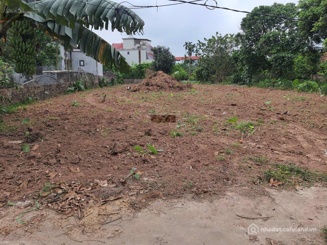 Bán đất thổ cư: Chính chủ bán đất đẹp tại Đường Tỉnh lộ 205, Đông Tảo, Khoái Châ