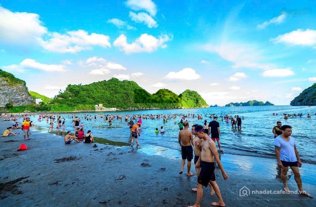 Bán đất thổ cư: * Chính chủ cần chuyển nhượng 8200m, đất mặt biển cát bà , giá 4