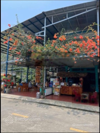 Bán đất thổ cư: Bán 306m² đất ont làng Việt Hải Cát Bà phù hợp kinh doanh du lịc