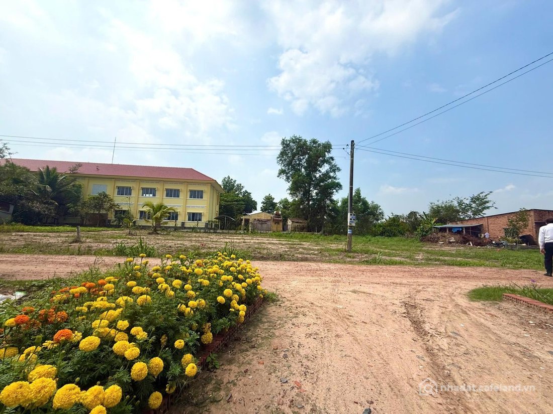 Bán đất thổ cư: Cần bán gấp lô đất khu phố Lộc An, An Tịnh, Tây Ninh. DT 146m2, 