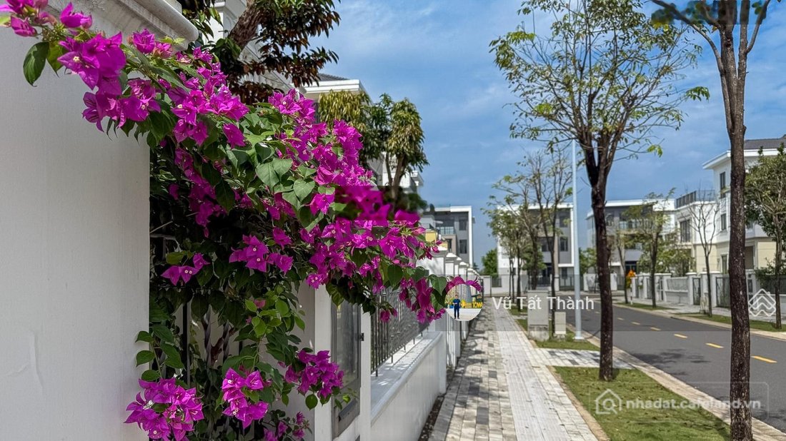 Bán biệt thự: Biệt thự Grand Villas 300m2, hướng Đông chỉ 17,699 tỉ, vài bước ra