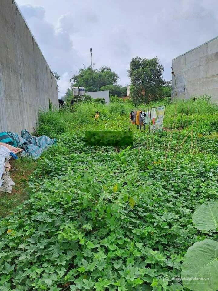 Bán đất thổ cư: Đất cách khu du lịch Đại Nam 2 phút, mặt đường ô tô ra vào thoải