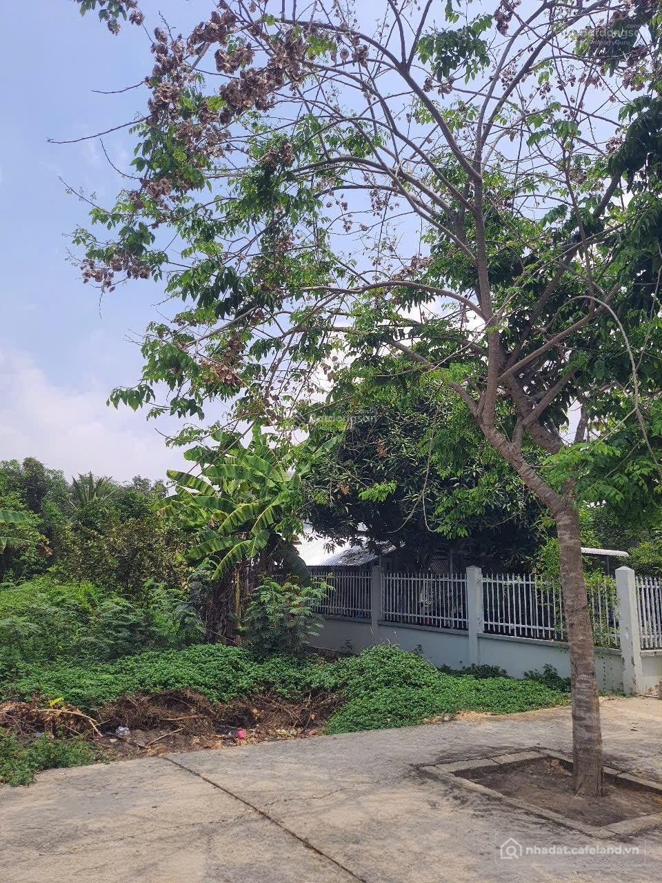 Bán đất thổ cư: Bán đất tại Nguyễn Thái Bình, 3,7 tỷ, 934m2, Vĩnh Hưng, Long An