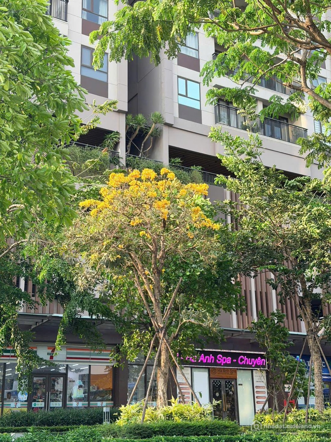 Bán căn hộ chung cư: Chính chủ cần bán căn hộ Opal Boulevard, 74m2, để lại full 