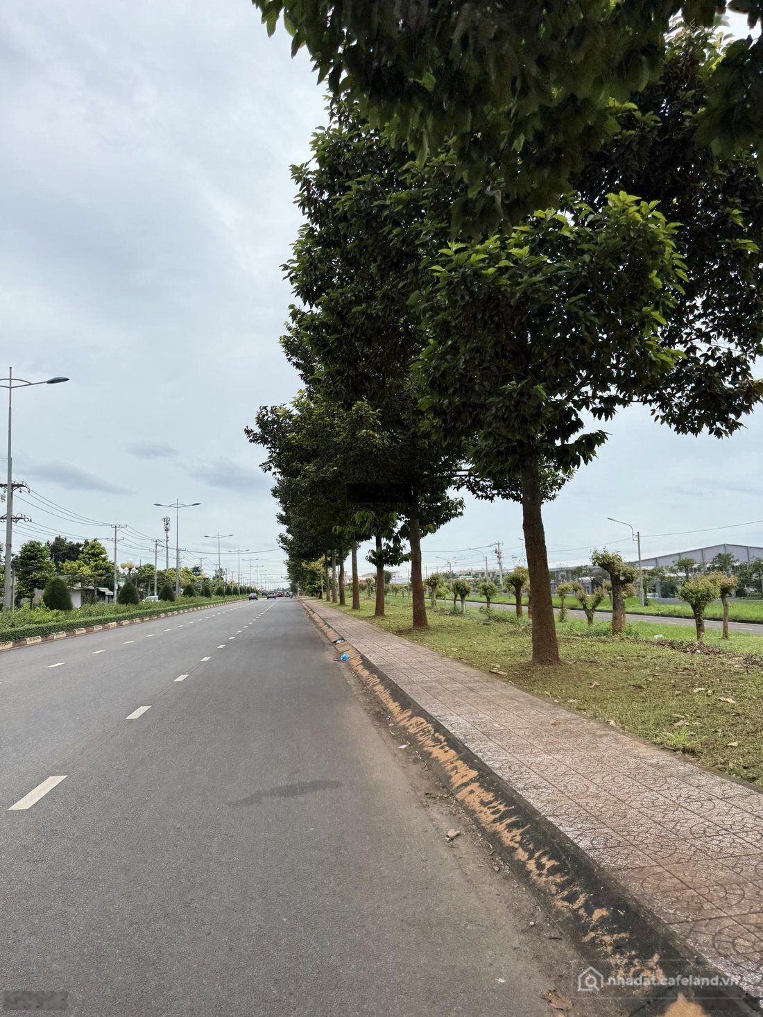 Bán đất thổ cư: Bán Đất tại Lê A, gần khu công nghiệp Suối Tre, Đồng Nai- 10m x 