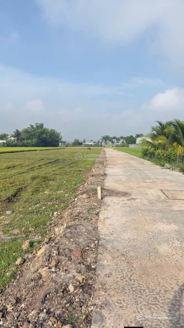 Bán đất thổ cư: Bán đất bê tông 5m cách TL9 150m, sát Cát Tường Phú Sinh dân đôn