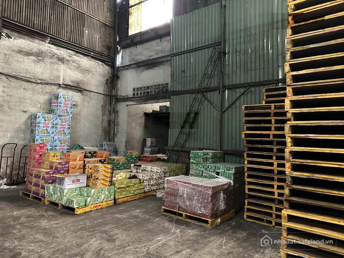 Bán nhà riêng: Bạn có thể phân lô hay xây phòng dịch vụ với 530m2 tại đường Tô H