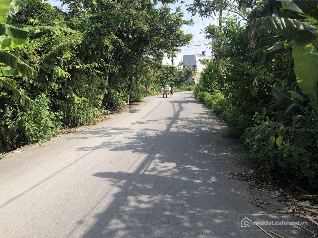 Bán đất thổ cư: Bán đất tại Đường 4C, Xã Đa Phước, Bình Chánh, Hồ Chí Minh, giá 