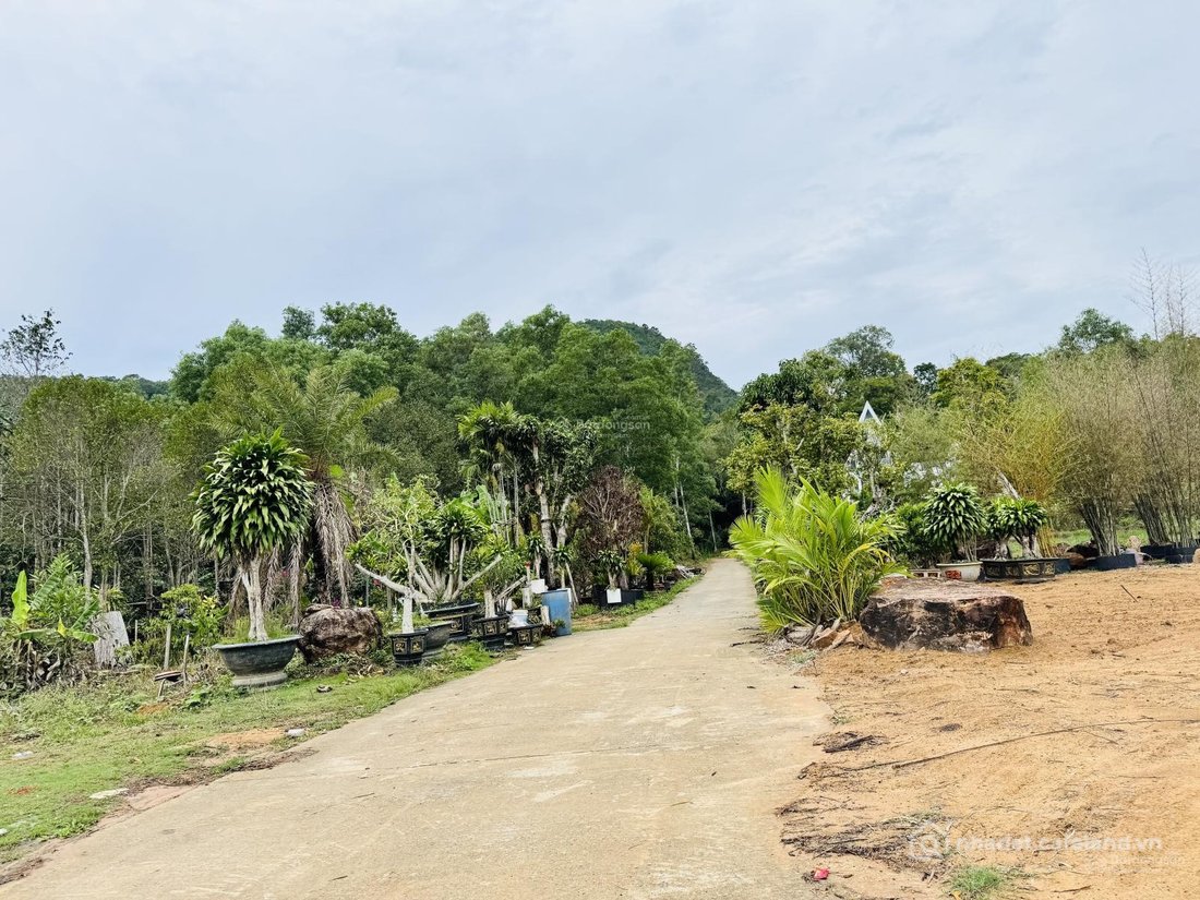 Bán đất thổ cư: Cần bán đất thổ cư Búng Gội, 494m2 giá 3.8tỷ, ngang 16.5m có thể